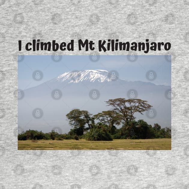 I climbed Mount Kilimanjaro by Nicomaja